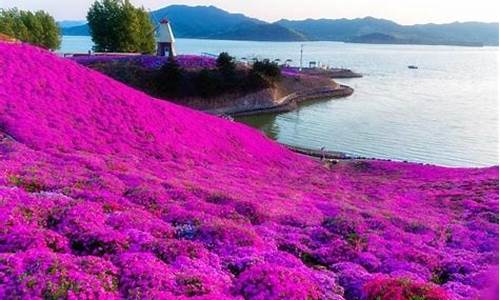 唐山迁西雨花谷天气_迁西雨花谷天气预报