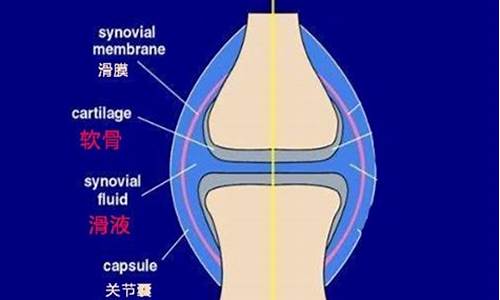 天气变化膝盖疼是怎么回事_天气变化膝盖酸