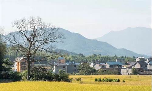 浦城石陂天气预报_浦城石陂天气预报查询