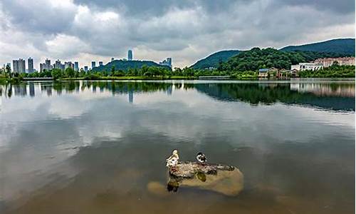 长沙西湖公园天气预报_长沙西湖公园天气预报查询