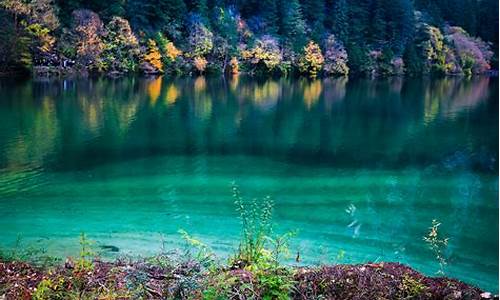 十月底九寨沟天气如何_十月底九寨沟天气