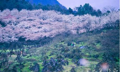 大邑雾山乡天气预报30天_大邑雾山天气预报