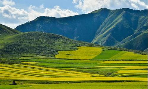 祁连大草原天气预报15天查询结果_祁连大草原天气预报