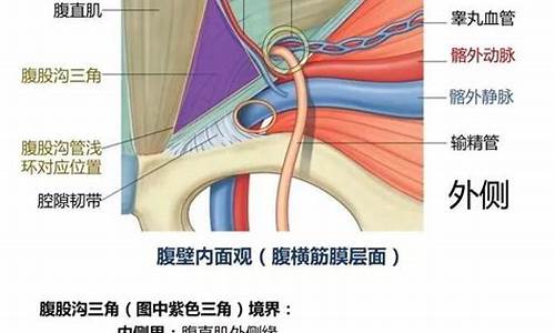 腹股沟右侧酸胀咋回事?_右腹股沟天气变化会酸