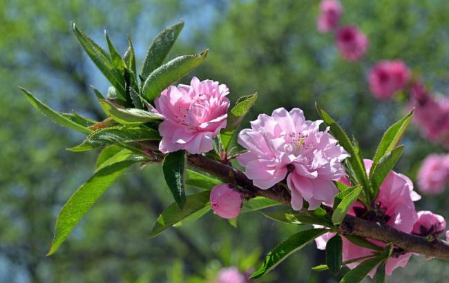 5月11肇源天气_肇源天气预报15天气