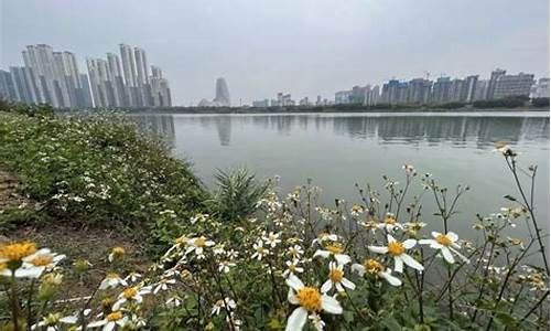 明天广元有没有大雾天气_广元的天气预报今天有雨吗